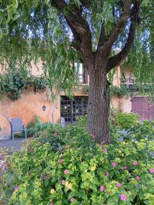 Gîte Au Moulin du Comte外面的花园