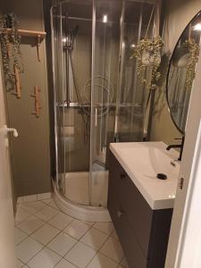 een badkamer met een douche en een wastafel bij Ytre Markveien 37 in Bergen