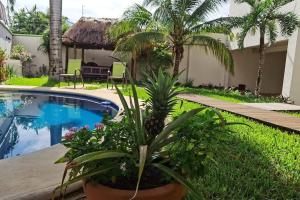 een resort met zwembad en palmbomen bij House completely furnished Total privacy 8Pax in Cancun