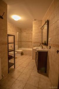 A bathroom at Apartamentos Turisticos Rio Gallego