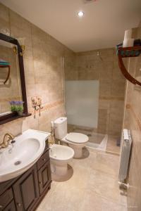 a bathroom with a toilet and a sink and a shower at Apartamentos Turisticos Rio Gallego in Fontellas
