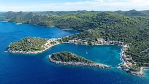 een luchtzicht van twee eilanden in het water bij Apartments by the sea Zaklopatica, Lastovo - 8340 in Lastovo