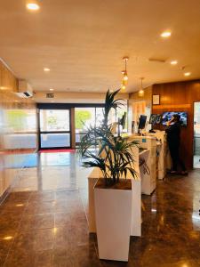 a lobby with a desk with a potted plant at Auckland Airport Kiwi Hotel in Auckland