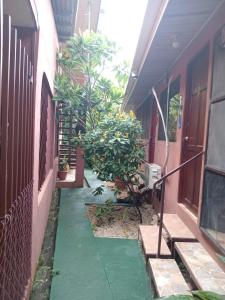 Taman di luar Nambí Rooms