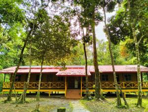 Zahrada ubytování Borneo Jungle Adventure