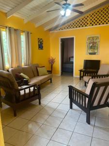 a living room with yellow walls and a couch and chairs at Ellen Bay Cottages in Saint Philips