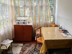 Guesthouse Ilisu的厨房或小厨房