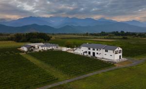 una vista aerea di una casa in un vigneto di Eclipse Winery Boutique Hotel a Kvareli