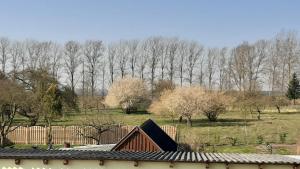 a wooden fence with trees in the background at Ferienwohnung im Zanderhaus in Sabel +3 photos