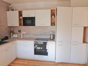 Kuchyň nebo kuchyňský kout v ubytování Apartmán AMALI Deluxe