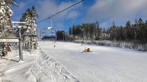 Apartmán AMALI Deluxe v zimě