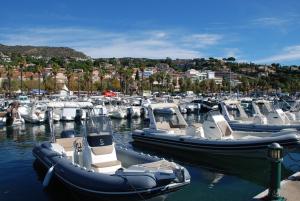 Природа в окрестностях апартаментов/квартиры