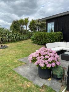 two vases filled with pink flowers on a patio at The Coastal Retreat in Raglan