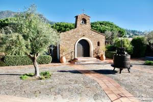 Природа в окрестностях апартаментов/квартиры +35 фотографий