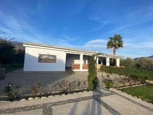 a white house with a palm tree in front of it at Casa María in Órgiva +30 photos