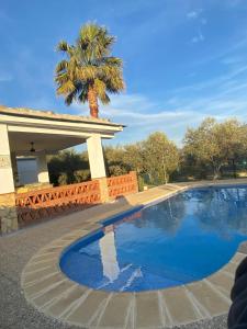 a swimming pool in front of a house with a palm tree at Casa María in Órgiva