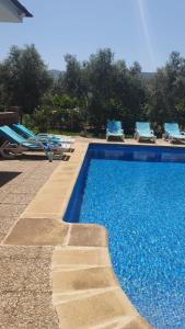 a swimming pool with blue water and blue chairs at Casa María in Órgiva