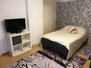 a small bedroom with a bed and a television at Mummonmökki Meri-Porista in Pori