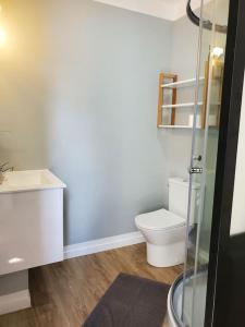 a bathroom with a toilet and a sink at La Grelauderie 7 in Saintes