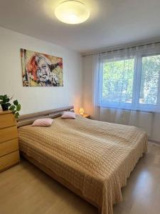 Postel nebo postele na pokoji v ubytování 3 izbový apartmán IGGI