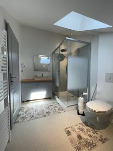 a bathroom with a shower and a toilet at Les Cèdres de Nauton in Vergoignan +22 photos