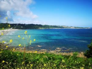 a view of the beach from a hill with yellow flowers at Les Gites de Mael et Rose in Plougasnou