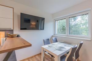 Televízia a/alebo spoločenská miestnosť v ubytovaní Apartmán Černá v Pošumaví
