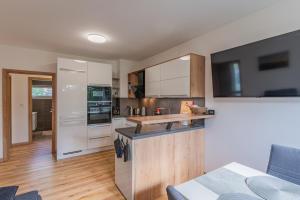 Kuchyňa alebo kuchynka v ubytovaní Apartmán Černá v Pošumaví