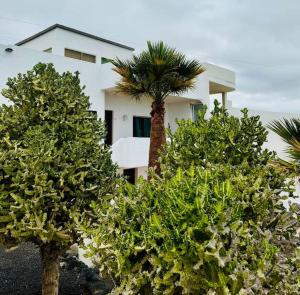 Κήπος έξω από το Villa PiedraNegra