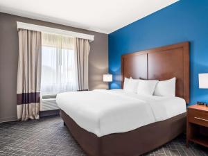 Postel nebo postele na pokoji v ubytování Comfort Suites Lindale