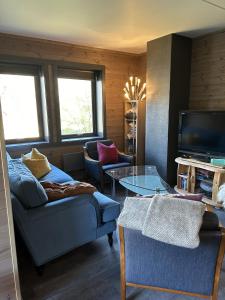 Μια τηλεόραση ή/και κέντρο ψυχαγωγίας στο Kozy apartment in Hemsedal, centrally located