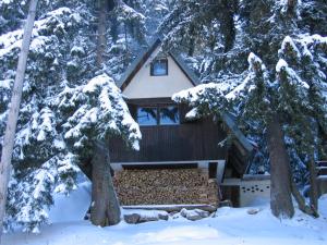 una cabaña en el bosque con árboles nevados en Apartments Sema, en Jahorina