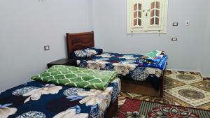Postel nebo postele na pokoji v ubytování Siwa Shali Hostel
