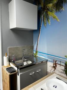 una cucina con lavandino e vista sulla spiaggia di studio2 a Vins-sur-Caramy