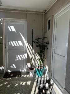 Foto dalla galleria di Green ToniC Hostel a Kutaisi