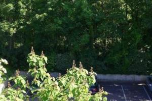 Κήπος έξω από το Bel appartement meublé et aménagé