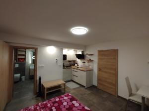 a small apartment with a kitchen and a room at Apartma Mamut 1850 in Kamnik