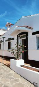 una casa blanca con una planta delante en Villa Queca Private heated pool cannon water and jacuzzi, en Santa Cruz de Tenerife
