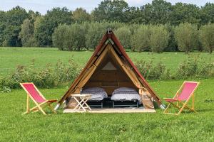 Zahrada ubytování TT Circuit Assen 2026 Glamping incl stroom