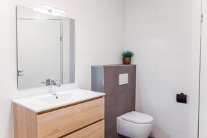 a bathroom with a sink and a toilet at Veluwe Vallei 16-person bungalow in Voorthuizen +15 photos