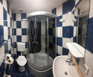 a bathroom with a shower and a toilet and a sink at Pensiunea Bendorfeanu in Răşinari