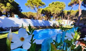 einen Pool in einem Garten mit weißen Blumen in der Unterkunft Villa Zahara in Chiclana de la Frontera