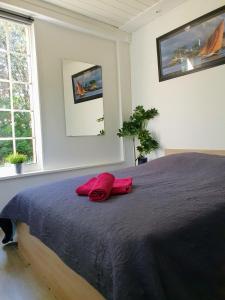 a bedroom with a bed with two red pillows on it at Studio avec jardin-Proche LDLC-Groupama Stadium-Eurexpo-métro in Vaulx-en-Velin +9 photos