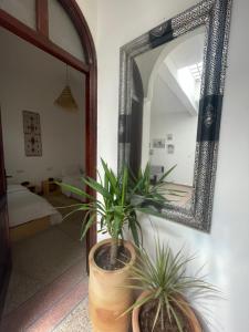 Foto Agadiris asuva majutusasutuse Eco Bay Surf House galeriist