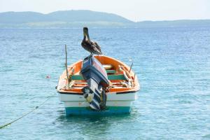 Φυσικό τοπίο κοντά σε αυτό το διαμέρισμα