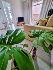 a living room with a couch and a plant at Ao lado da Igreja Matriz, Hospedagem de Charme in Santa Rita do Sapucaí