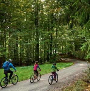 a couple of people riding bikes down a dirt road at Ferienwohnung Goldfasan in Lam