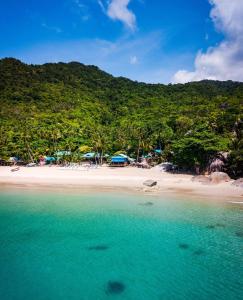 a view of a beach with trees and the ocean at Bigblue haadyuan in Haad Yuan +75 photos