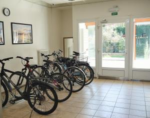 Jízda na kole v ubytování Morava apartmán 6 pro 3 osoby Uherské Hradiště Šafaříkova 855 nebo okolí