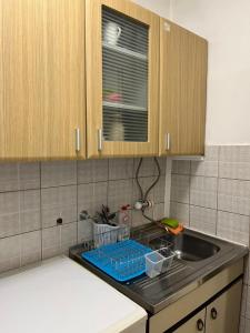 Köök või kööginurk majutusasutuses Apartman Tejsi